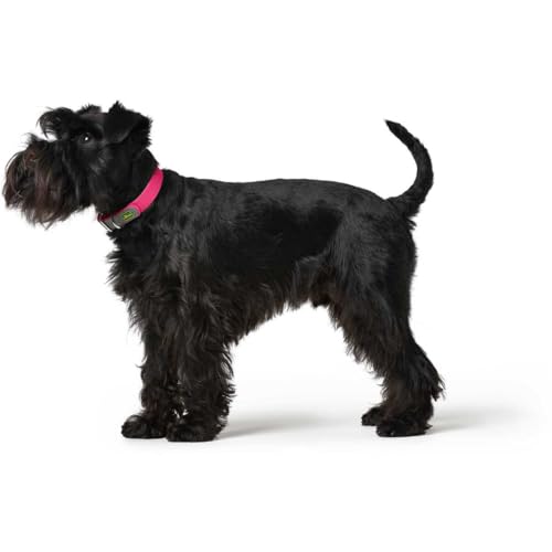 HUNTER CONVENIENCE Hundehalsband, Kunststoffmaterial, 55 M-L, himbeer