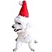 Adjustable 3D Christmas Santa Hat for Dogs Cats (Small)