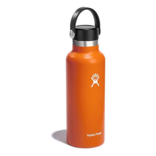Hydroflask S18SX808 18 Oz Standard Flex Cap Mesa