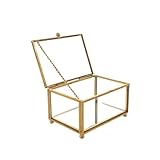 minkissy Caja Joyero de Cristal Tapa Vintage de Vidrio y Metal Transparente para Exhibición en Sala o Dormitorio Rectangular y Funcional