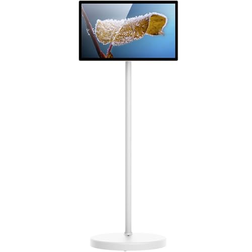 Monitores 24 Ips Marca DPQYJPP