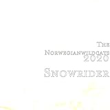snowrider ski kaufen  Snowrider