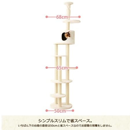 Amazon | Mau キャットタワー トルテ ホワイト | Mau | キャットタワー
