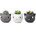 Mkono Mini Cute Cat Succulent Planter Pots Decorative Ceramic Cactus Planter Small Animal Flower Plant Window Box Containers with Drainage for Cat Lovers Gift Idea, Set of 3