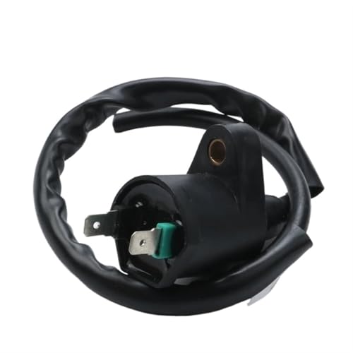 Bobine d'allumage pour moto NES 125 idéale en ville