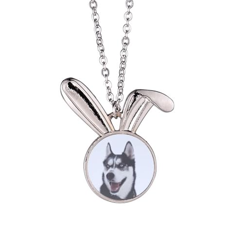 Collier lapin grand chien Snow Hupicture anti-irritation et solide