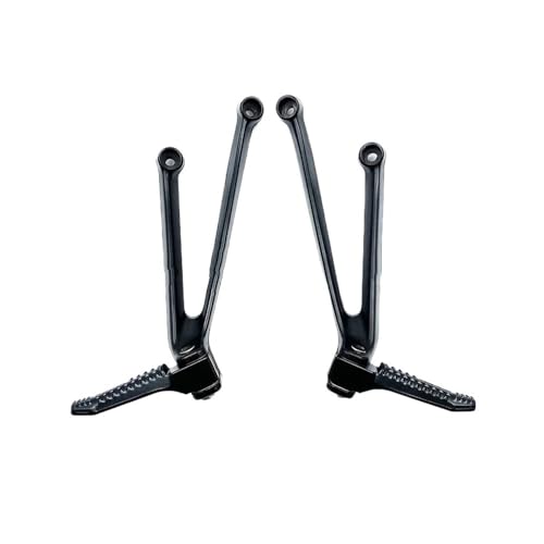 Cale pied moto arrière pour balades en duo sur routière BMW S1000R 2015