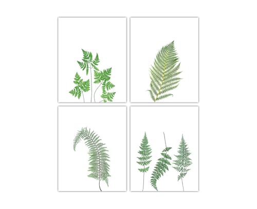 Minimalist Fern Plant Print, Vintage Botanical Wall Art - Give