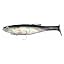 silver shad