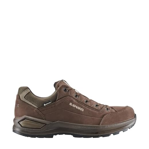 Chaussures de randonnée Lowa Renegade EVO GTX Low Hommes