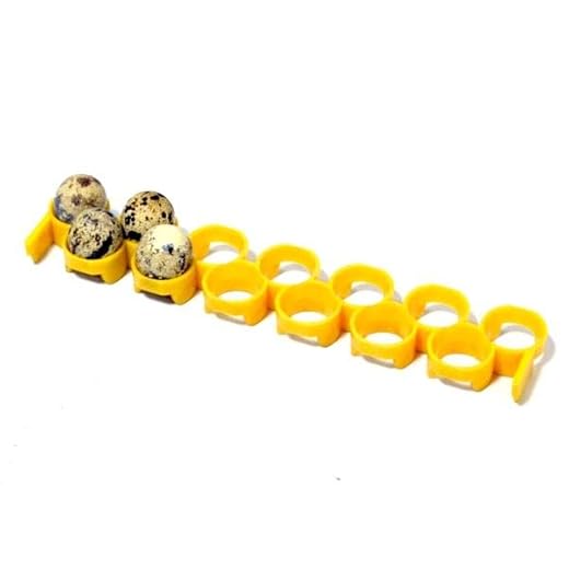 Quail Egg Rack for Increased Capacity
