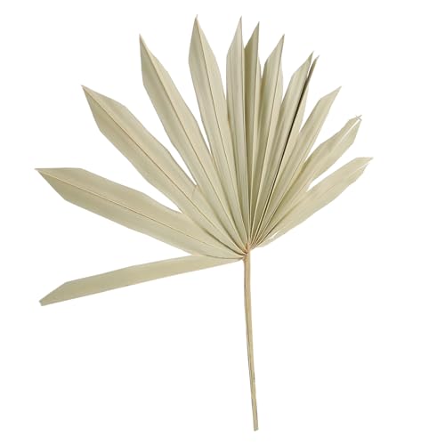 Adorno Natural de Hoja de Palma Secada para Decoración miniatura 1