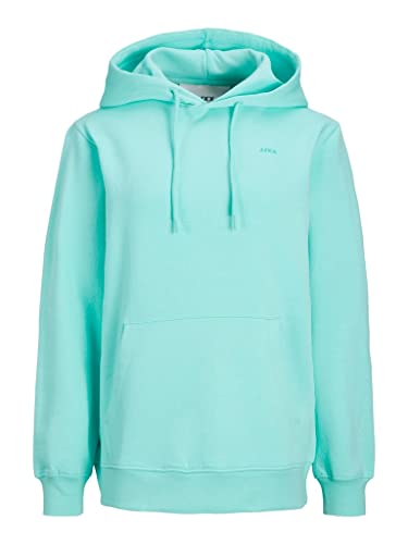 JACK & JONES Damen Jjxx Jxabbie Rel Every Brush Hood Noos Kapuzenpullover, Aruba Blue/Print:turquoise Jjxx Logo, L EU Cover