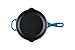 Le Creuset Enameled Cast Iron Signature Iron Handle Skillet, 9