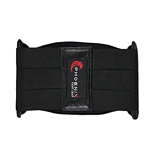 image for Phoenix Fight Gear Flight Belly Protector Boxing Body Protector, MMA T