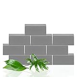 BigDean 10er Set Steckschaum - Grau - Steckschwamm für Trockenblumen & Gestecke - Blumensteckschaum Trockensteckschaum Steckmoos Steckmasse Blumen