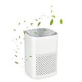 Small Air Purifier for bedroom - 3 Stage Air Purifier with H13 Filter for Smoke Dust Pet Dander Odors, USB Powered Quit Air Cleaner for Home Office & Baby Room