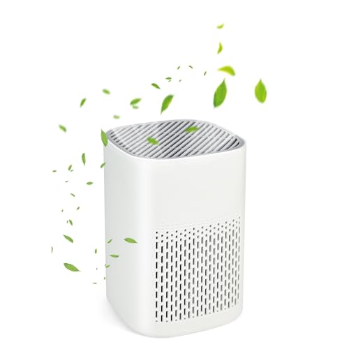 Small Air Purifier for bedroom - 3 Stage Air Purifier with H13 Filter for Smoke Dust Pet Dander Odors, USB Powered Quit Air Cleaner for Home Office & Baby Room
