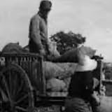  Paracaigudistes a Sa Pobla