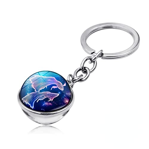 WRVCSS Luminous 12 Konstellation Sternzeichen Schlüsselanhänger Geschenk Doppelseitige Glaskugel Anhänger Kristall Schlüsselanhänger Tasche Autoschlüsselanhänger Halter Fische-Leuchtend Cover