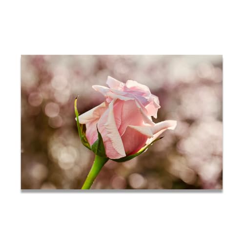 Cuadro canvas VHdfgTY de naturaleza para transformar tu hogar con paz de montaña