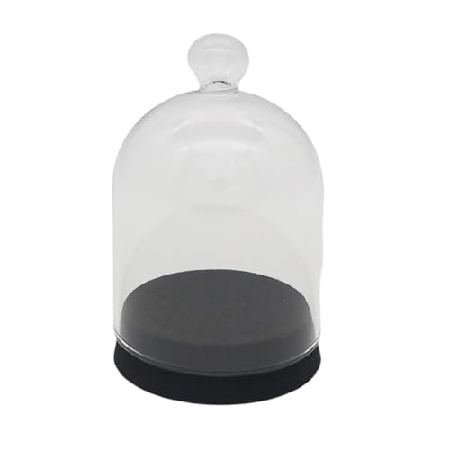 OXXNGA t KXh[ RN  12_