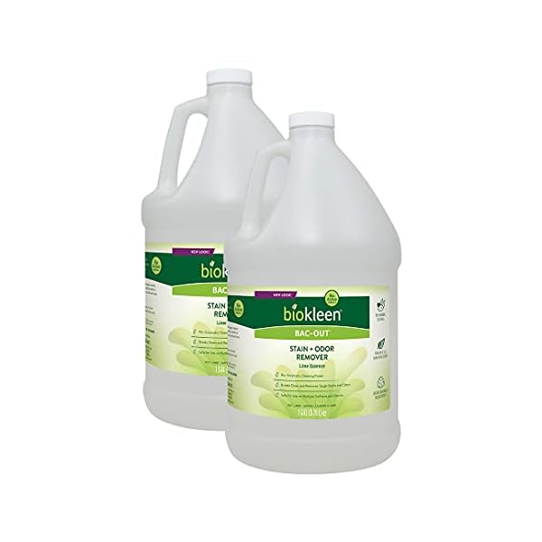 Biokleen BacOut Carpet Stain Remover Enzymatic, Destroys Stains & Odors Safely, for Pet Urine
