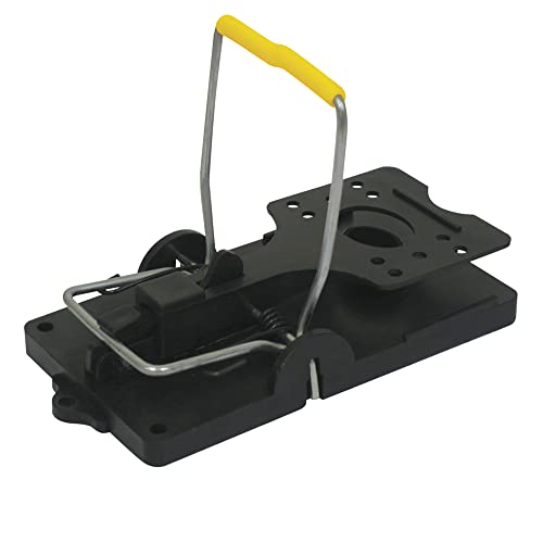 The Big Cheese Lot de 2 pièges à Rats Qui tuent instantanément Les Rats, Multicolore