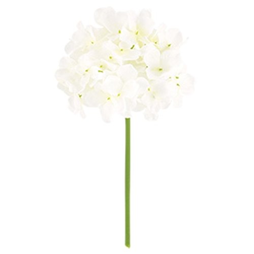 t@CAWTCsbN zCg FLP6013WH t@CAWTC  AWTC z  sbN A[gt[ AW