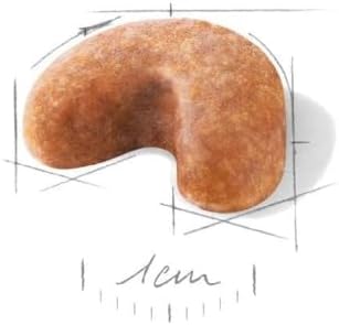 ロイヤルカナン BHN フレンチブルドッグ 子犬用 1kg&times;2個セット