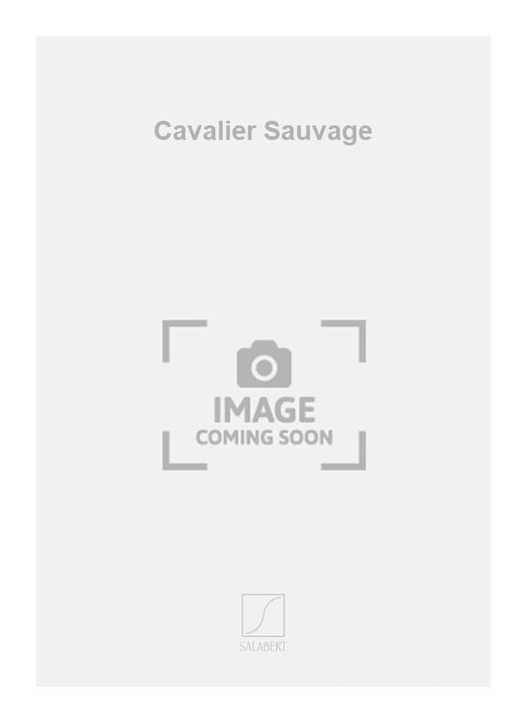 Flûte traversière cavalier sauvage idéale pour jouer en orchestre