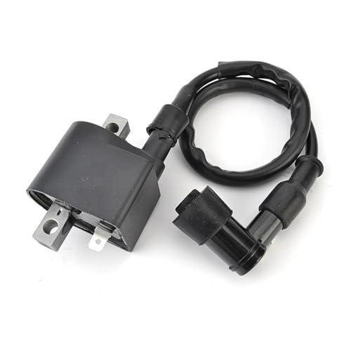Bobine d'allumage compatible Suzuki TS50 TS125 AX100 33410-13700