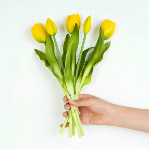 �t�F�C�N�t�����[�A 5���� �l�H�u�[�P �V���R���� �t�F�C�N�t�����[ �p�[�e�B�[�f�R���[�V���� ���r���O���[�� �e�[�u���Z���^�[�s�[�X �t�����[�A�����W�����g�f�R���[�V����(Yellow)