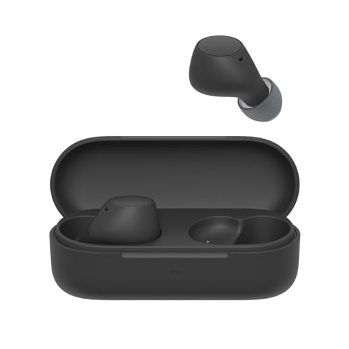 Sony WF-C510 Auriculares Inalámbricos pequeños, Ligeros, con conexión multipunto, Modo Sonido Ambiente, Resistencia al Agua IPX4, Spotify Tap, Carga rápida, 22 Horas de batería, iOS y Android – Negro