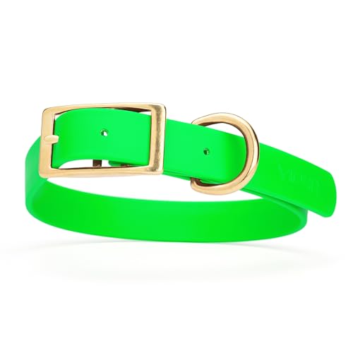 Image of Viper Biothane Heavy Duty Waterproof Dog Collar Strong Coated Nylon Webbing w /Solid Brass Hardware Odor-Proof Easy to Clean High Performance Fits Small Medium or Large Dogs, Tropical Green