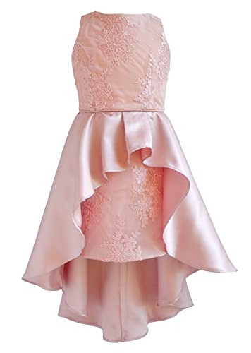 Rare Editions Girls 7-16 Pink Embroidered Mesh Mikado Wrap Skirt Dress (12) #TOP9