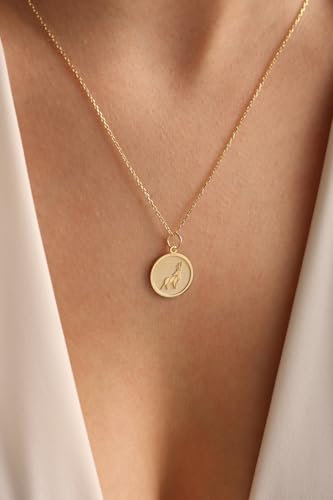Collier pièce monnaie cerf résistant qui ne ternit pas