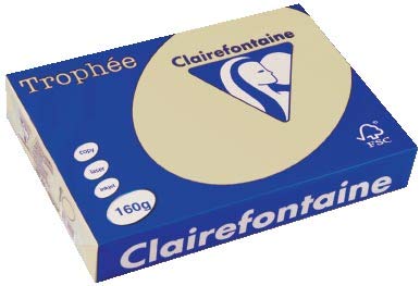 Clairefontaine 29Ca1040 Papier Trophee A4, Wildleder, 250 Blatt, 160g gr