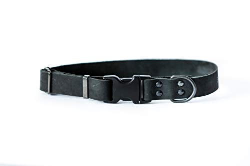 Euro Dog Sport Leather Collar