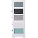 HOMCOM Armario Auxiliar 10 Cajones 45x28x75cm Cajonera Multicolor Comoda Casa Oficina