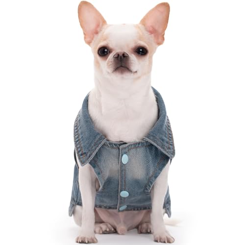 Chaqueta de mezclilla para perros talla pequeña miniatura 3