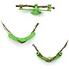 Amazon.com : WLSANX Limb Spreaders Adjustable, 15pcs Fruit Tree Branch ...