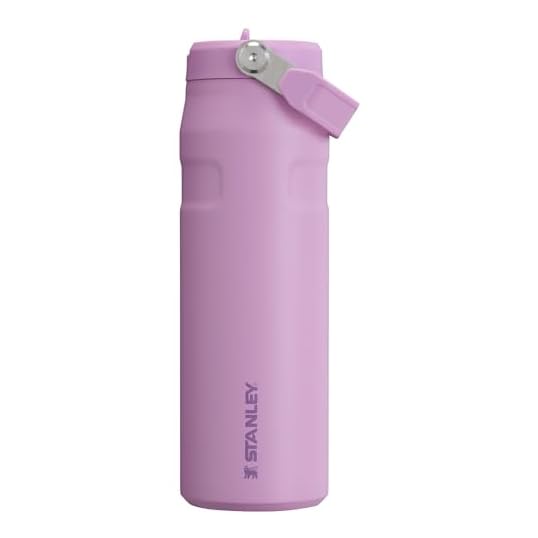 Stanley Water Bottle