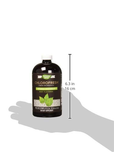 Nature’s Way Chlorofresh, Supports Detoxification Pathways*, Liquid Chlorophyllin Copper Complex, Supports Healthy Skin*, Internal Deodorant*, Mint Flavored, 16 Fl Oz. #TOP7
