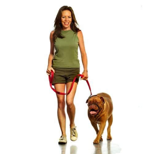 Canny Collar Dog Head Collar, No Pull Leash Training Head Harness, Easy To Fit Halter That Stops Pulling, Comfortable & Calm Control With Padded Collar, Kind To Your Dog, Enjoy Gentle Walks With Small, Medium Or Large Dogs, Black, Blue, Purple & Red #TOP5