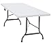 Produktbild Deuba Gartentisch Klapptisch Klappbar 240x70 cm mit Tragegriff Kunststoff Tisch für 8 Personen Buffettisch Partytisch Weiß