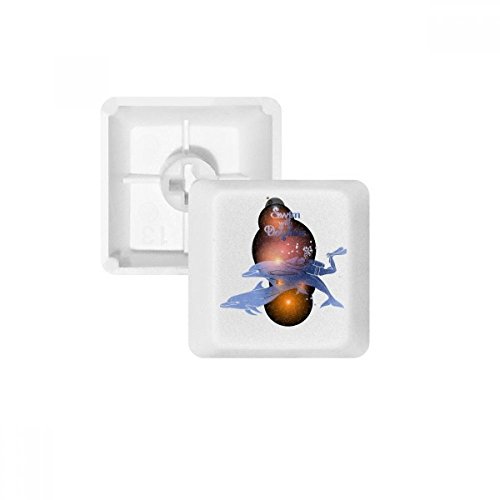 Keycaps PBT Swim With Dolphins blancs au profil OEM sans marquage pour clavier