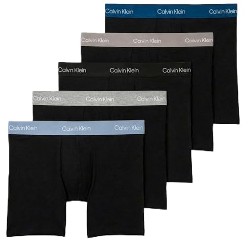 Calvin Klein Men Boxer Brief 5pk Blue (BLK W Classic Blue WB/BLK W PORPOI) L