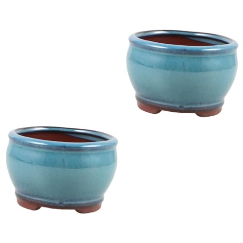 Kisangel 2 Piezas De Espárragos Suculentos En Maceta Decoración Floral Macetas Decorativas De Escritorio s Plantas Suculentas De Cerámica Artesanal De Cactus