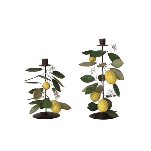 Creative Co-Op Citrus Grove Metal Taper Candle Holders, Multicolor, Set of 2